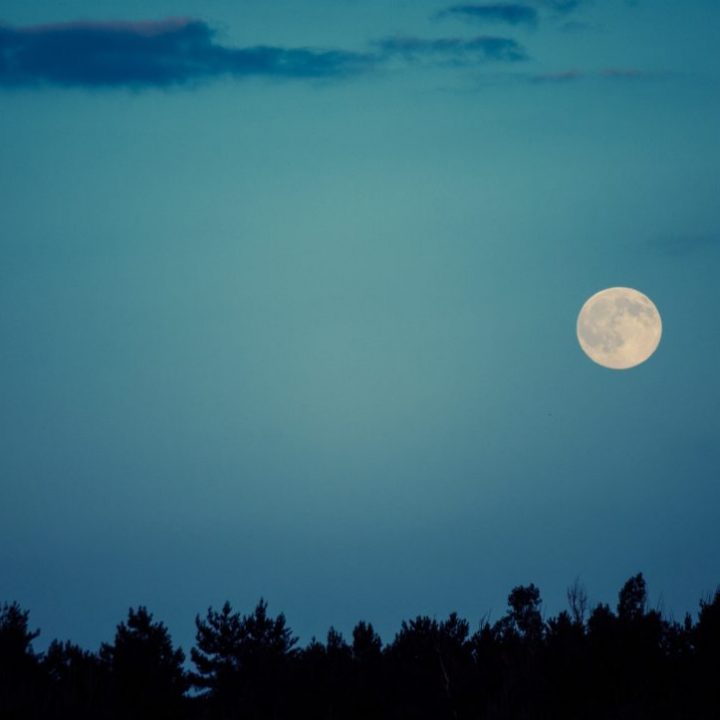 a lua