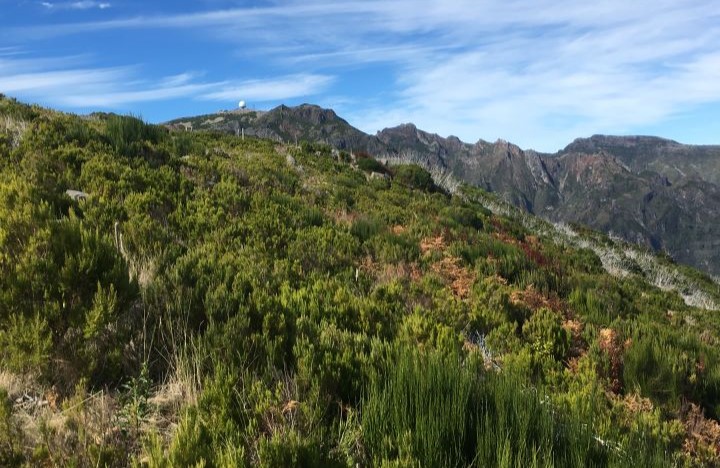 Campo de Educação Ambiental do Cabeço da Lenha