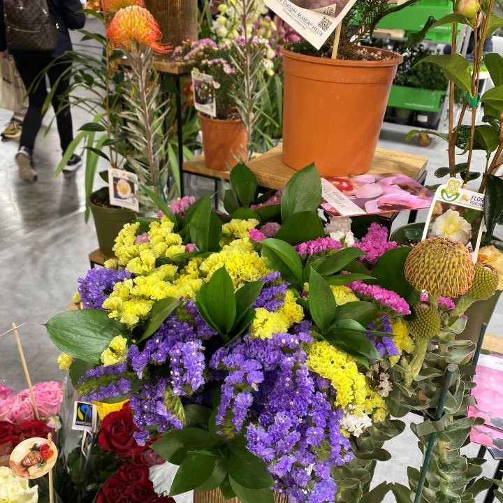 Flora Toscana