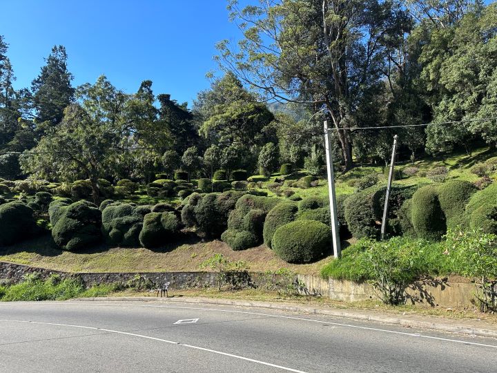 JARDIM BOTANICO DE HAKGALA