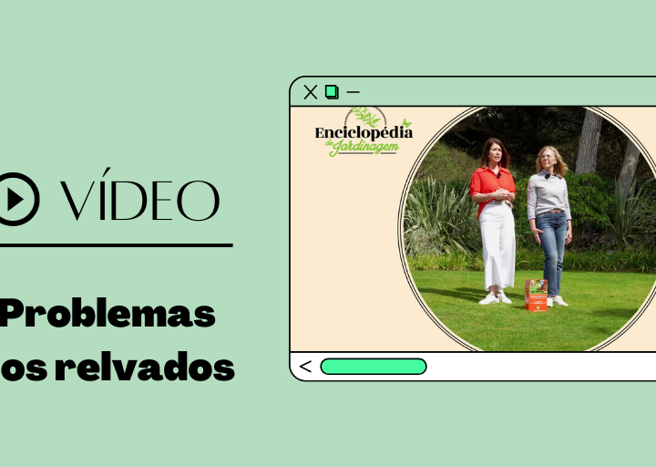 Problemas dos relvados: Enciclopédia de Jardinagem