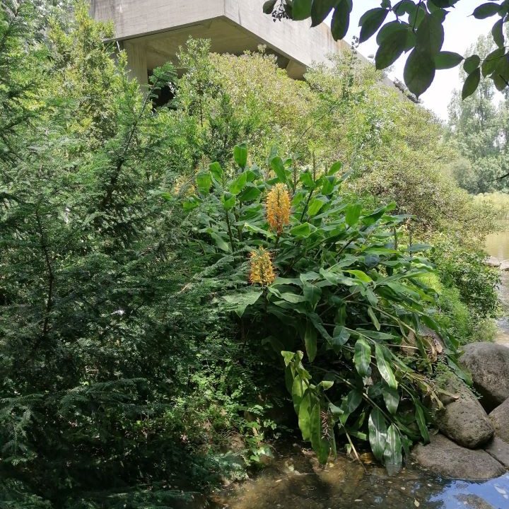 gulbenkian