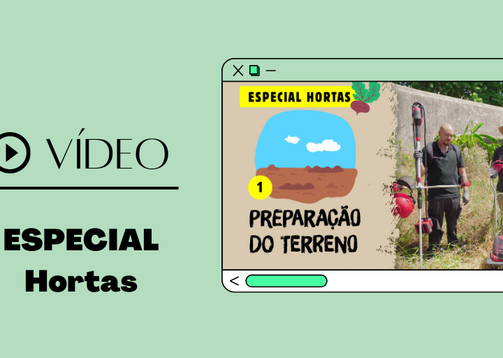 hortas einhell