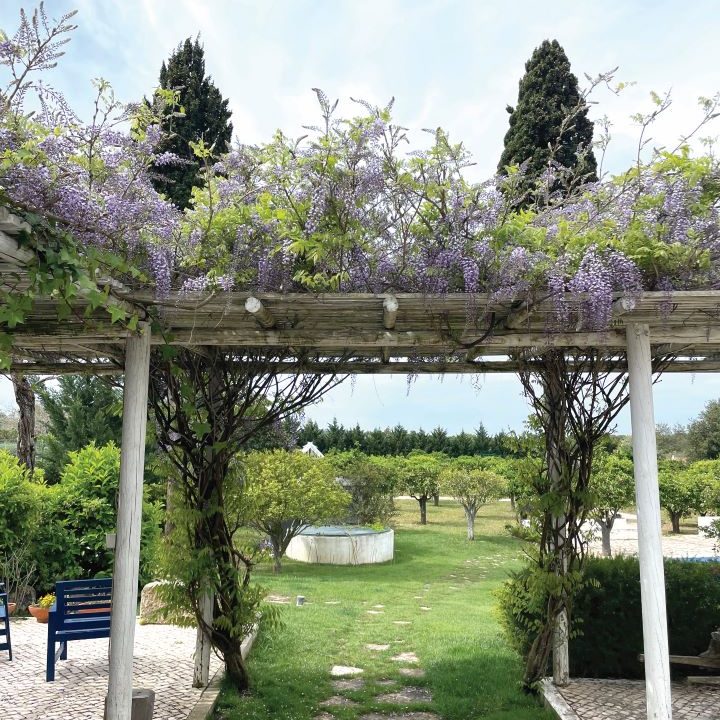 Quinta das Flores, Azeitão