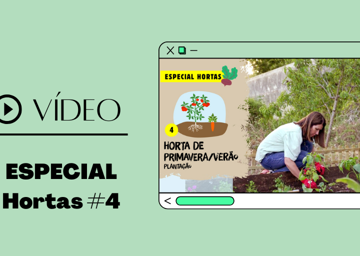 destaque vídeo horta primavera / verão