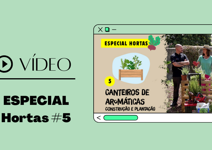 video especial hortas: canteiros de aromáticas