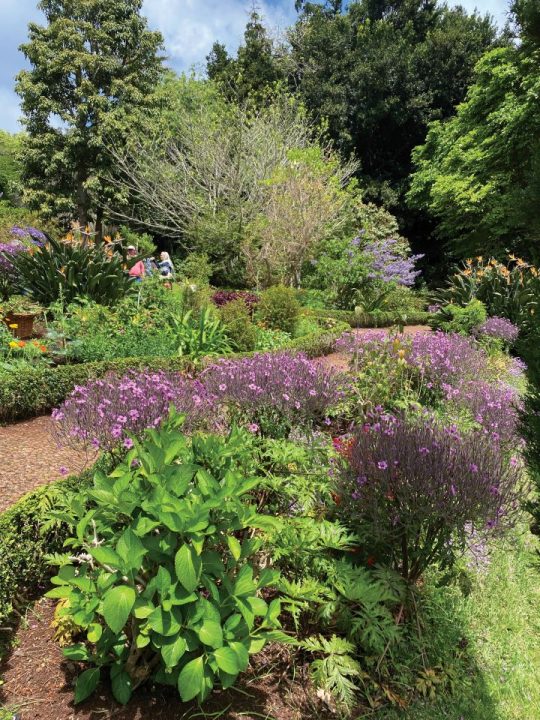 Main Garden