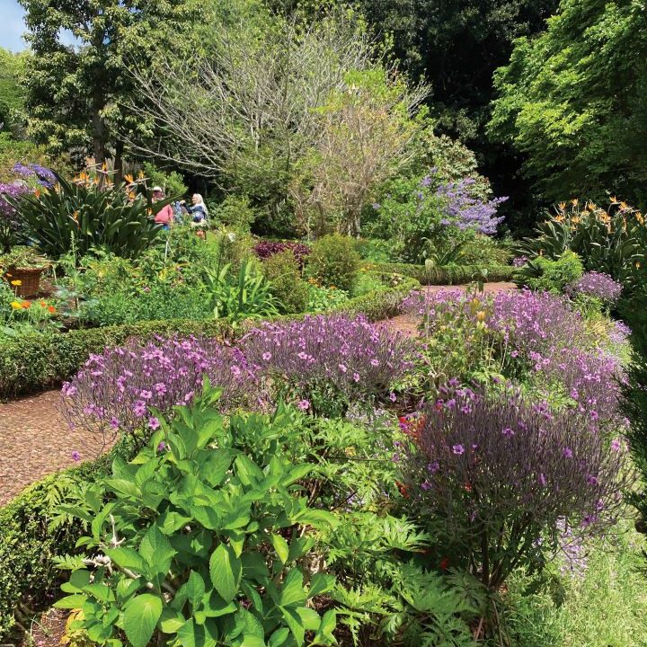 Main Garden