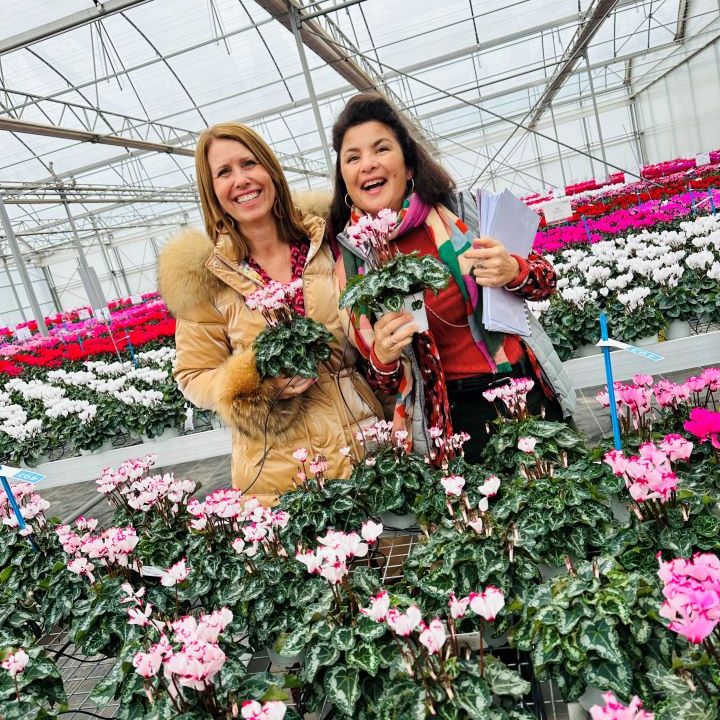 Teresa Chambel e Heloise Morel