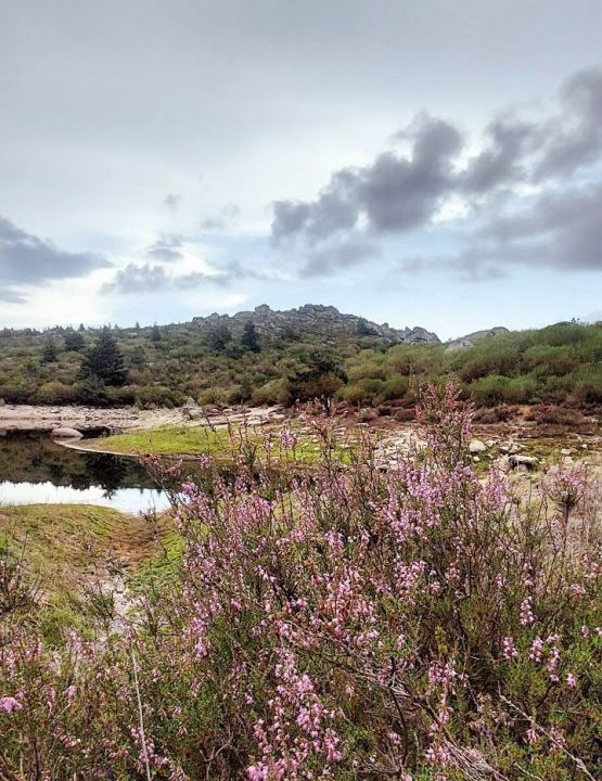 Paisagem da Serra da Estrela
