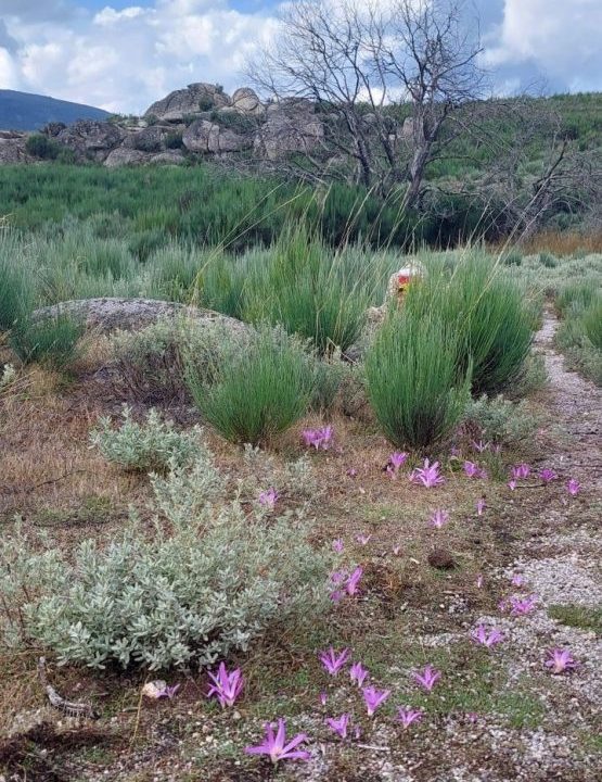Paisagem da Serra da Estrela