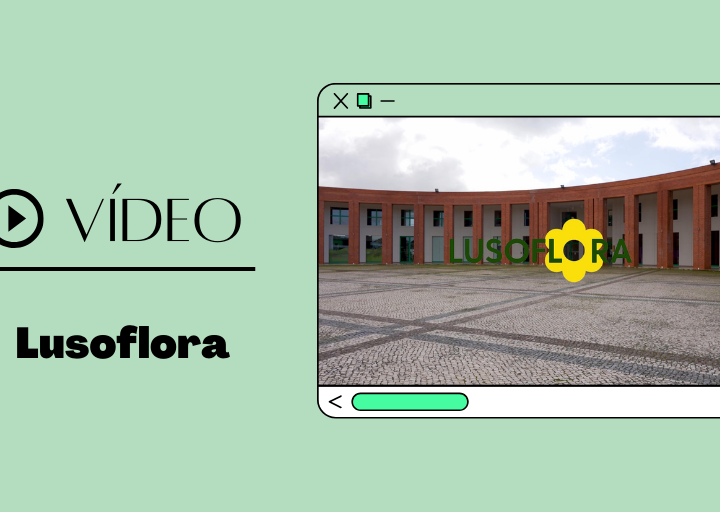 Lusoflora