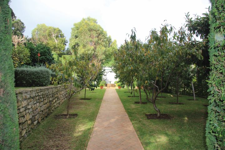 Perspetiva do jardim