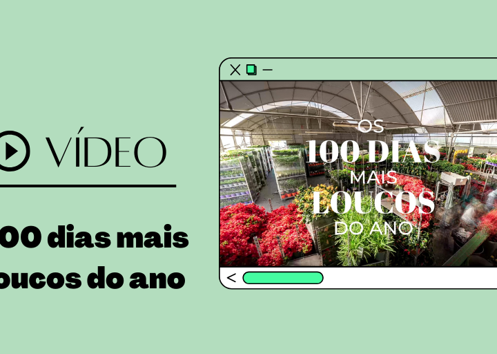 Destaque site - video Os 100 dias mais loucos do ano
