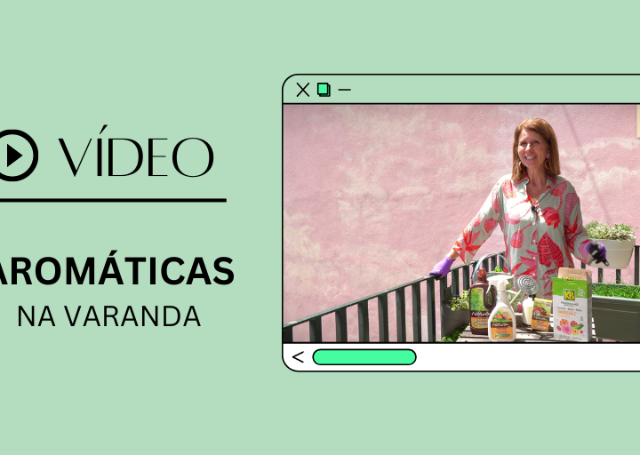 VIDEO AROMÁTICAS NA VARANDA
