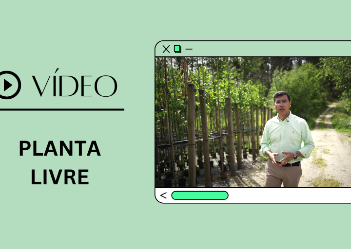 Destaque vídeo academia dos produtores planta livre