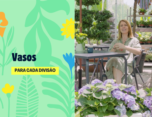 Capa do vídeo Vasos para cada divisão, da Elho