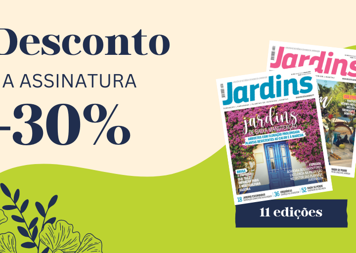 Campanha assinaturas
