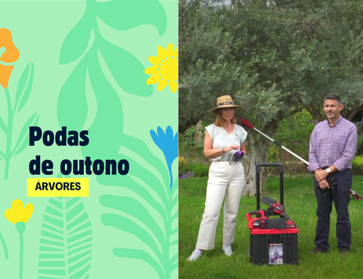 video podas de outono árvores einhell