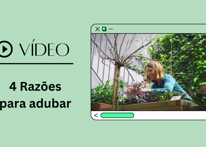 destaque site - vídeo 4 razoes para adubar, patrocinado pela compo