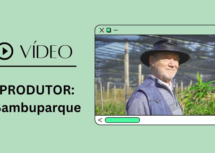 destaque video academia bambuparque